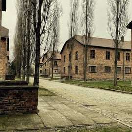 Da Cracovia: autista privato per Auschwitz-Birkenau