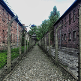 Cracovia: Escursione di un giorno ad Auschwitz-Birkenau con tour leader