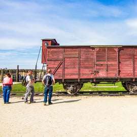 Desde Cracovia: Excursión Auschwitz-Birkenau con transporte