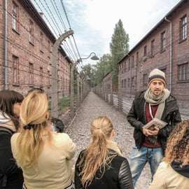 Da Cracovia: Tour guidato di Auschwitz-Birkenau e opzioni di prelievo