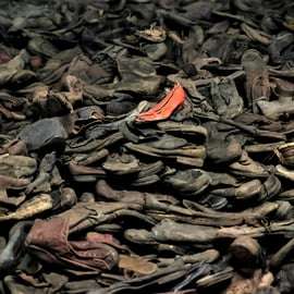 Desde Cracovia: Auschwitz Birkenau tour en grupo reducido con servicio de recogida