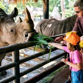 Cracóvia: Zoo com serviço de busca no hotel