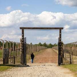 Cracovia: tour guidato ad Auschwitz-Birkenau