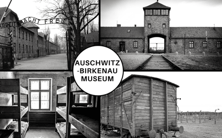 Auschwitz-Birkenau Visita guiada y traslado desde Cracovia