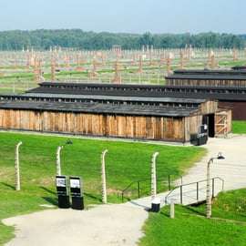 Tour guidato di Auschwitz-Birkenau e trasferimento da Cracovia