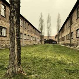 Da Cracovia: autista privato per Auschwitz-Birkenau
