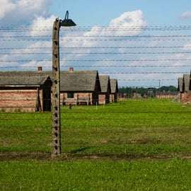 Auschwitz-Birkenau: Visita guiada - Bilhete + Transporte