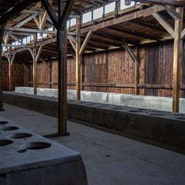 Da Cracovia: Tour guidato di Auschwitz-Birkenau di un giorno intero