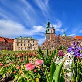 Cracovia: Tour a piedi della città vecchia e del castello di Wawel in inglese