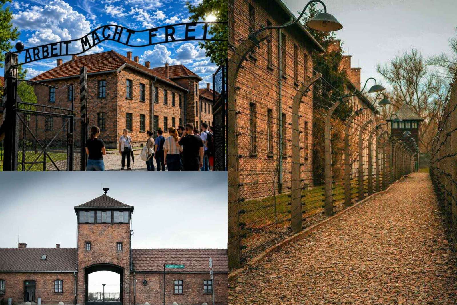 Da Cracovia: Tour per piccoli gruppi di Auschwitz Birkenau con servizio di prelievo