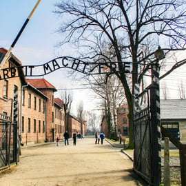 Desde Cracovia: Excursión Auschwitz-Birkenau con transporte