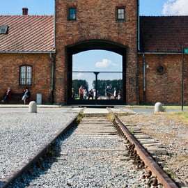 Auschwitz-Birkenau: Visita guiada - Bilhete + Transporte