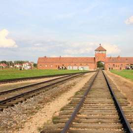 Desde Cracovia: visita guiada al Memorial Auschwitz-Birkenau
