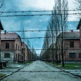 Cracovia: Auschwitz-Birkenau y Mina de Sal Visita guiada de día completo