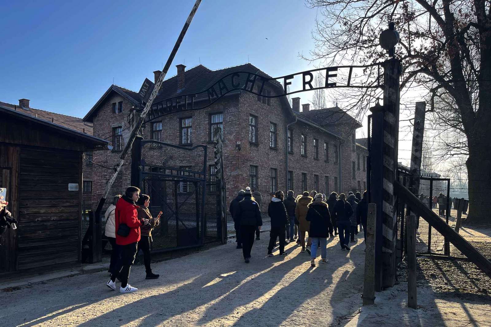 Cracovia: visita guidata al Memoriale di Auschwitz-Birkenau con servizio di prelievo