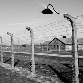 Excursão Guiada Auschwitz-Birkenau Saindo de Cracóvia e Busca no Hotel
