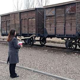 De Cracóvia: Excursão alternativa ao complexo de Auschwitz