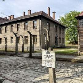 Desde Cracovia: visita guiada a Auschwitz-Birkenau