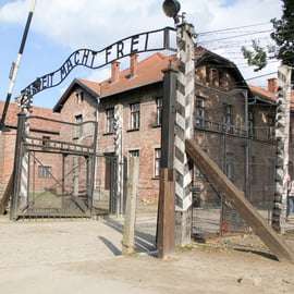 Desde Cracovia: visita guiada al Memorial Auschwitz-Birkenau
