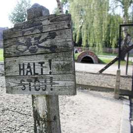 Desde Cracovia: visita guiada al Memorial Auschwitz-Birkenau