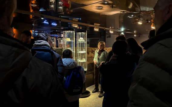 Cracovia: Visita guiada al Museo Subterráneo Rynek