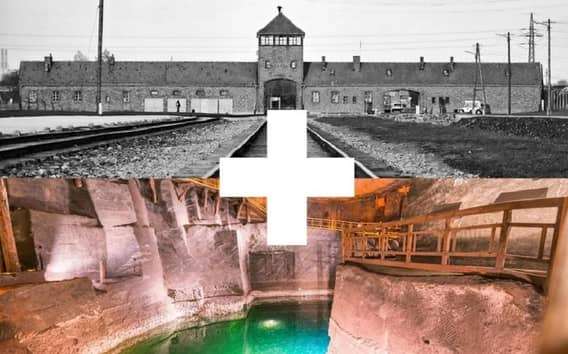 Cracovia: Tour guidato di Auschwitz-Birkenau e della Miniera di Sale
