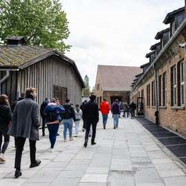 Cracovia: tour guidato ad Auschwitz-Birkenau