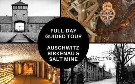 Desde Cracovia: Auschwitz Birkenau y Mina de Sal Visita Guiada