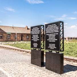 Auschwitz-Birkenau e Miniera di Sale di Wieliczka: Tour di un giorno e pranzo