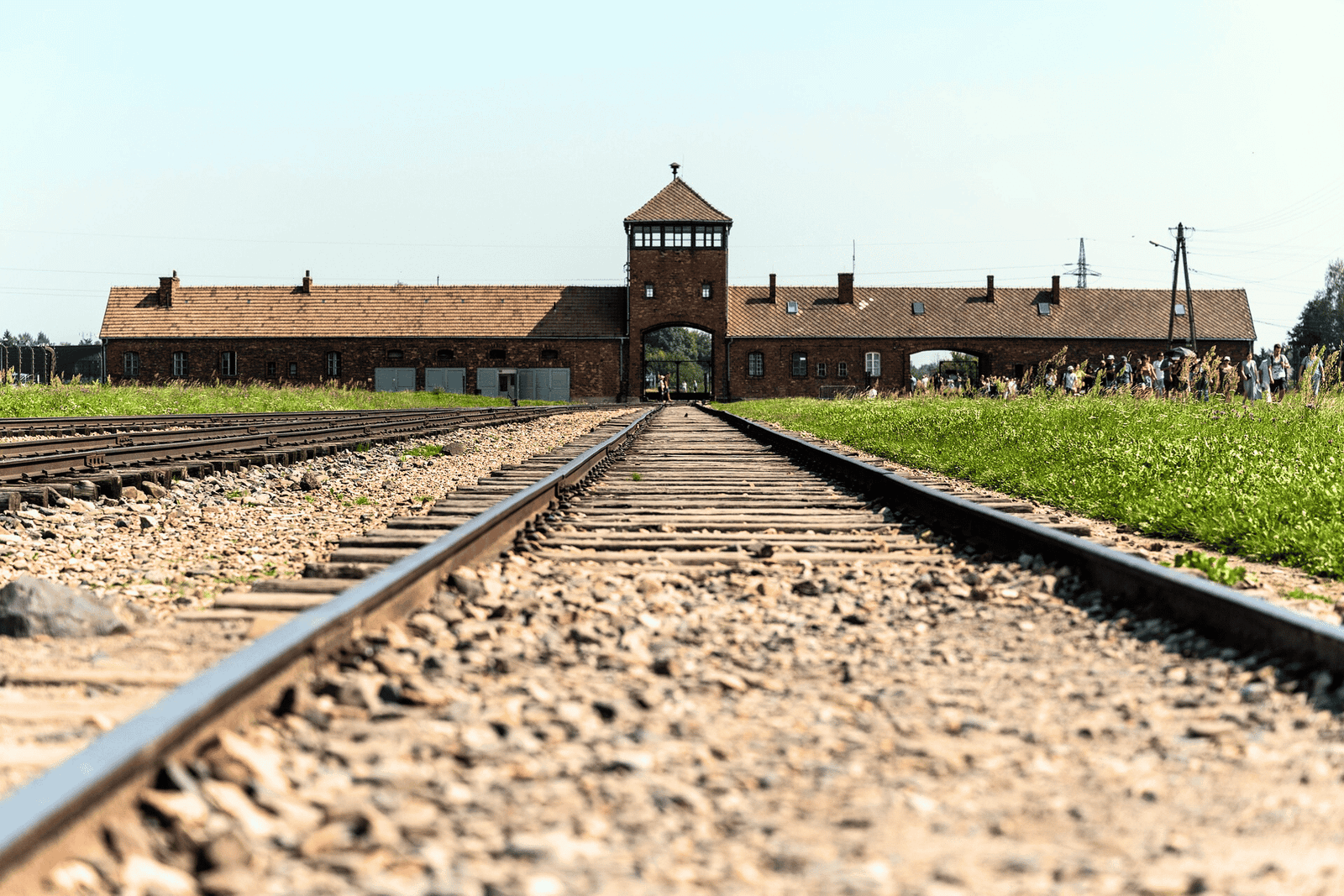 Cracovia: Escursione di un giorno ad Auschwitz-Birkenau con tour leader