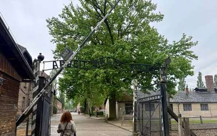 Desde Cracovia: visita guiada a Auschwitz-Birkenau