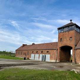 Desde Cracovia: visita guiada a Auschwitz-Birkenau