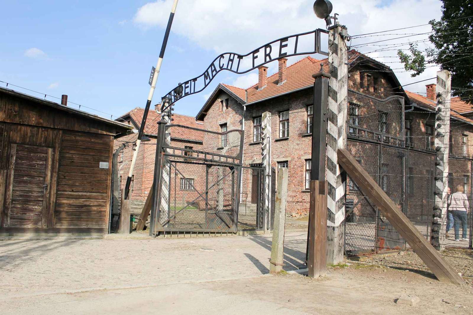 Desde Cracovia: visita guiada al Memorial Auschwitz-Birkenau