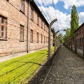 Cracovia: tour guidato ad Auschwitz-Birkenau