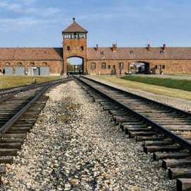 De Cracóvia: Tour particular pelo Memorial de Auschwitz-Birkenau