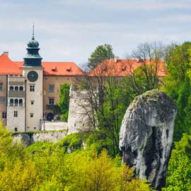 Desde Cracovia: Excursión de un día al Sendero de los Nidos de Águila