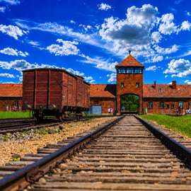 Da Cracovia: Tour di Auschwitz-Birkenau con trasporto di un giorno
