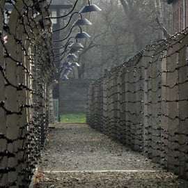 De Cracóvia: Visita guiada a Auschwitz, Birkenau e Mina de Sal