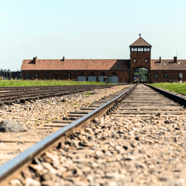 Cracovia: Escursione di un giorno ad Auschwitz-Birkenau con tour leader