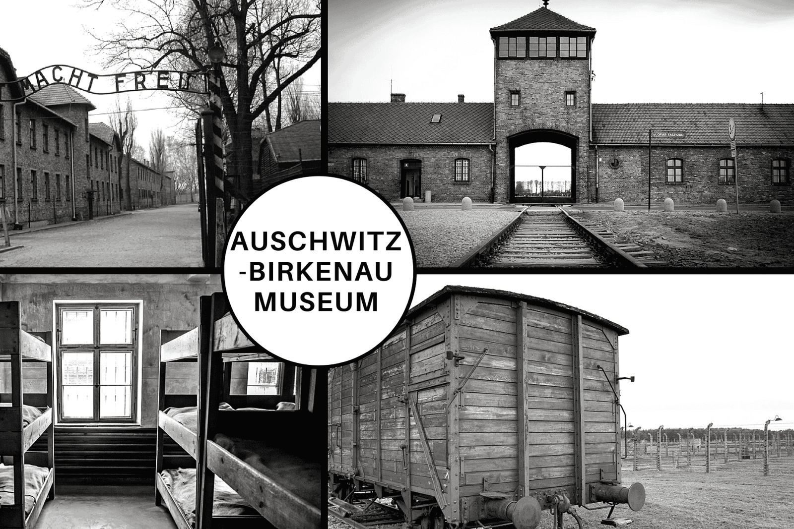 Tour guidato di Auschwitz-Birkenau e trasferimento da Cracovia