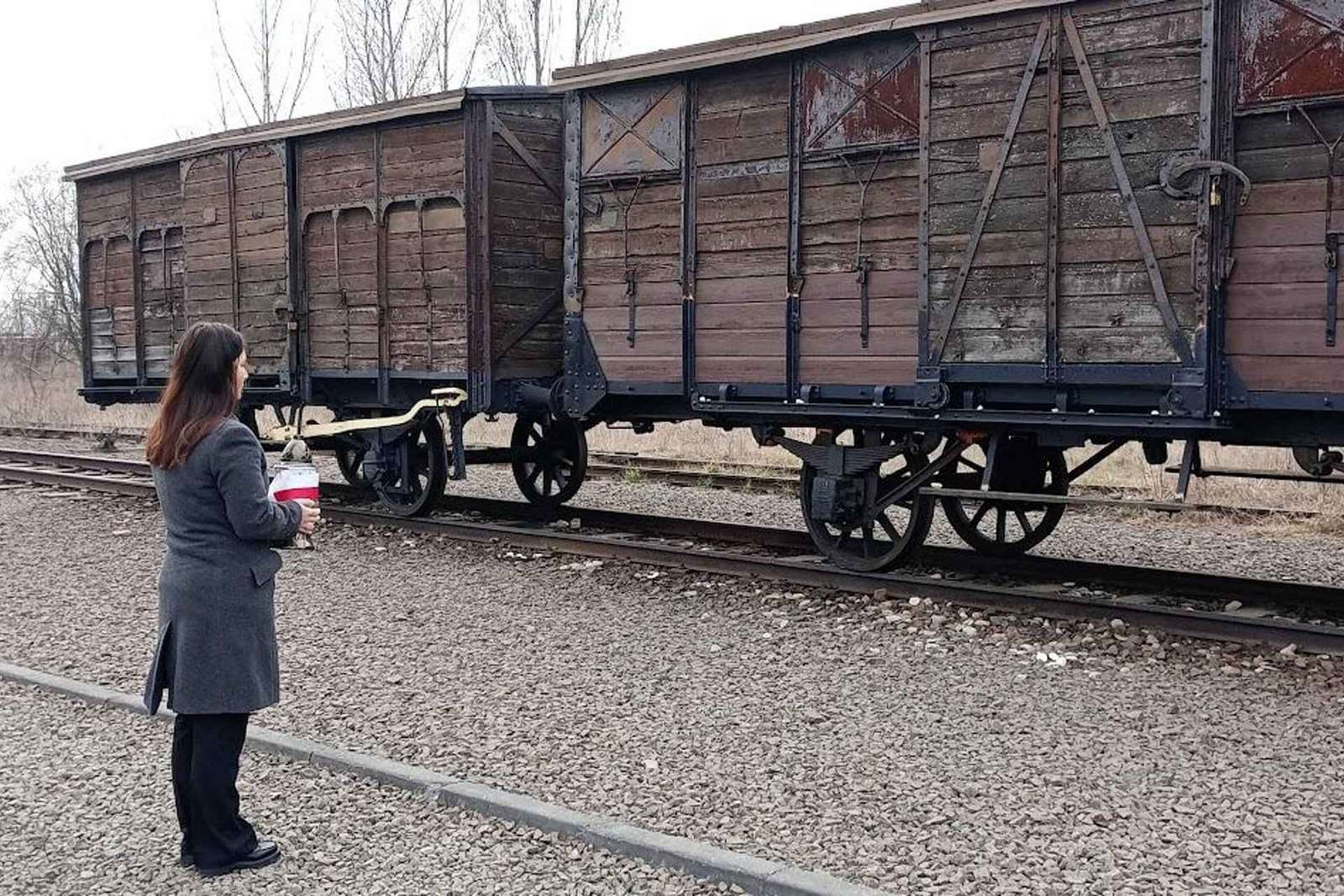 De Cracóvia: Excursão alternativa ao complexo de Auschwitz