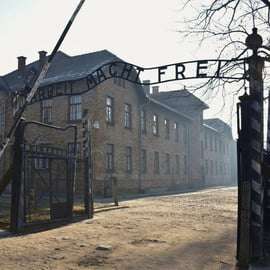 Cracovia: Escursione di un giorno ad Auschwitz-Birkenau con tour leader