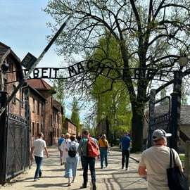 De Cracóvia: Visita a Auschwitz-Birkenau e à mina de sal de Wieliczka