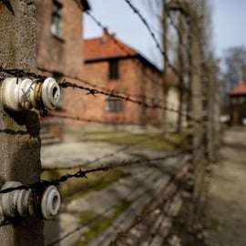 Desde Cracovia: tour de día completo de Auschwitz-Birkenau