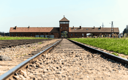 Cracovia: Excursión de un día a Auschwitz-Birkenau con el anfitrión del tour