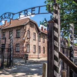 Biglietto per Auschwitz e tour di un giorno da Cracovia