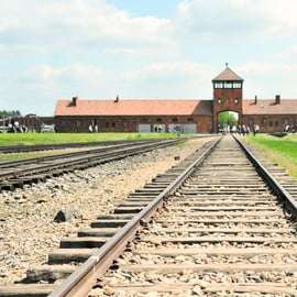 Cracóvia: Visita guiada a Auschwitz com serviço de busca e almoço opcional