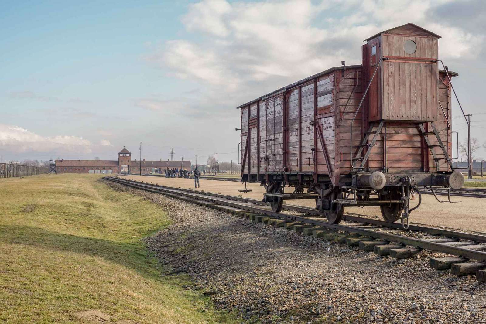 Da Cracovia: Tour guidato di Auschwitz-Birkenau di un giorno intero