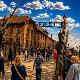 Cracovia: Tour guidato di Auschwitz-Birkenau con trasporto