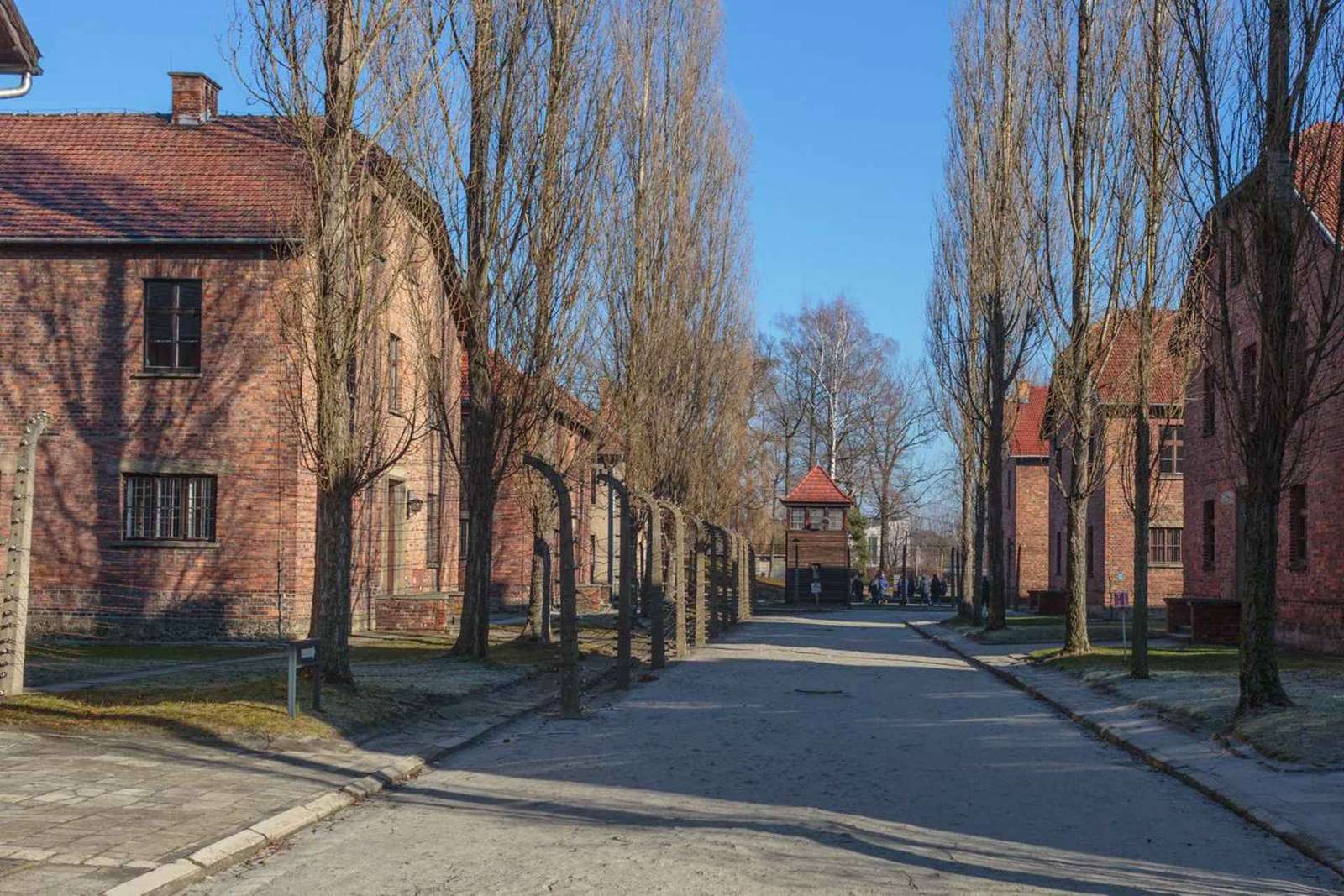 Cracóvia: Ingresso e traslado para Auschwitz-Birkenau